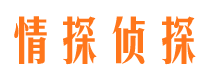 安达侦探公司